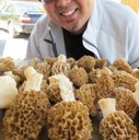 Please post your morel hunting photos!!