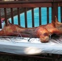 Pig Roast (with pictures)