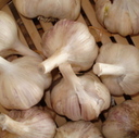 Tis the season to be stockpiling your garlic!