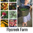 Whole farm CSA - from our field to your doorstep!